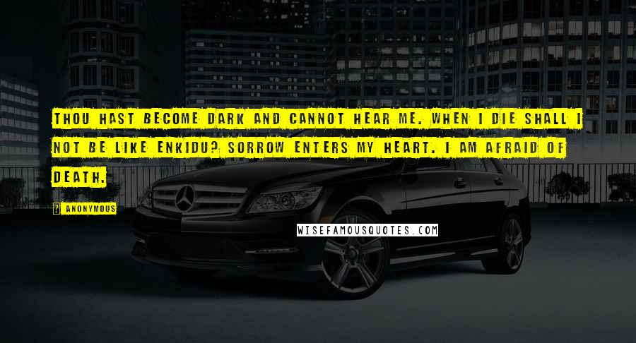 Anonymous Quotes: Thou hast become dark and cannot hear me. When I die shall I not be like Enkidu? Sorrow enters my heart. I am afraid of death.