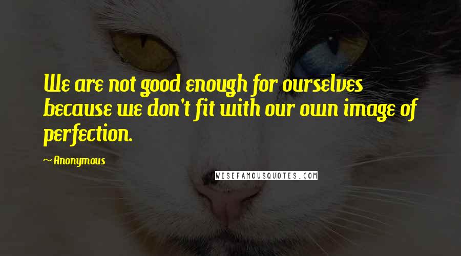 Anonymous Quotes: We are not good enough for ourselves because we don't fit with our own image of perfection.