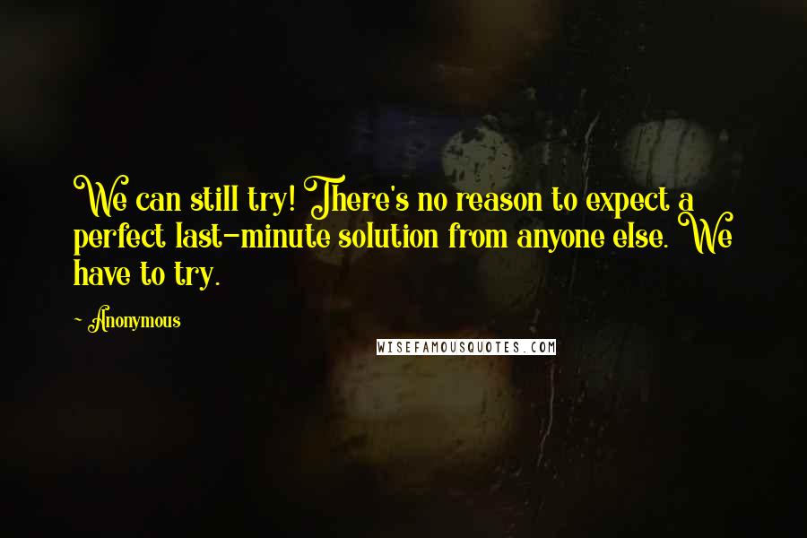 Anonymous Quotes: We can still try! There's no reason to expect a perfect last-minute solution from anyone else. We have to try.