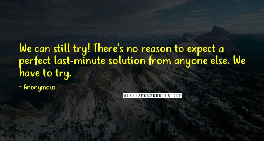 Anonymous Quotes: We can still try! There's no reason to expect a perfect last-minute solution from anyone else. We have to try.