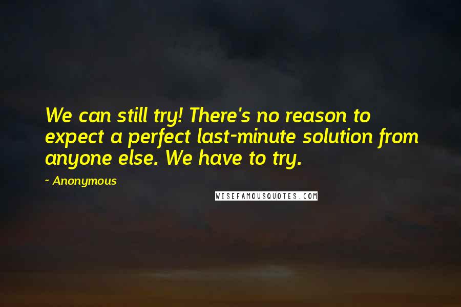 Anonymous Quotes: We can still try! There's no reason to expect a perfect last-minute solution from anyone else. We have to try.