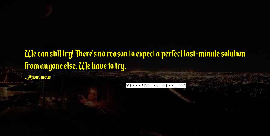 Anonymous Quotes: We can still try! There's no reason to expect a perfect last-minute solution from anyone else. We have to try.