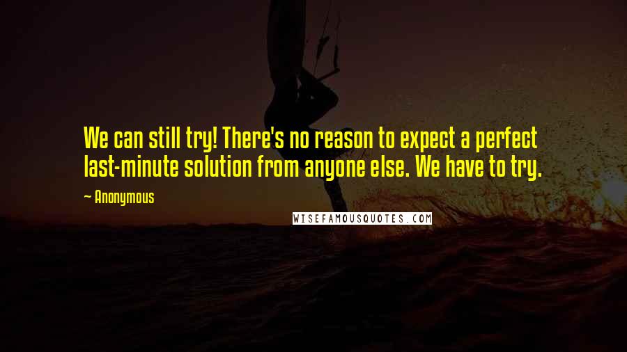 Anonymous Quotes: We can still try! There's no reason to expect a perfect last-minute solution from anyone else. We have to try.