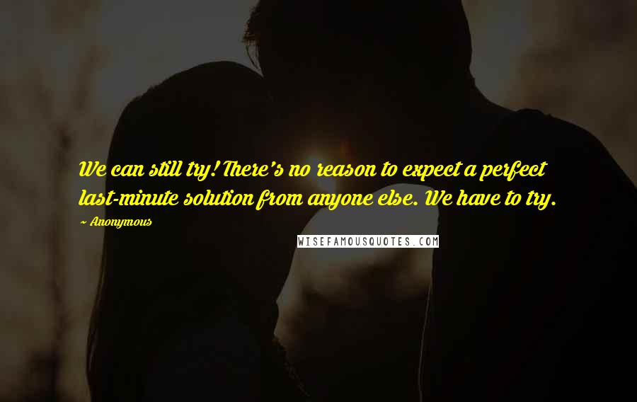 Anonymous Quotes: We can still try! There's no reason to expect a perfect last-minute solution from anyone else. We have to try.