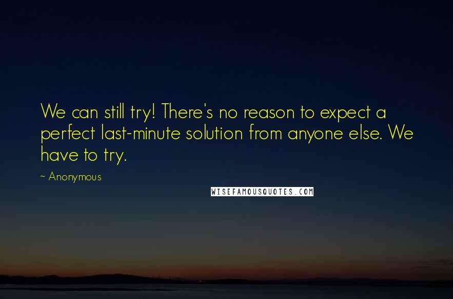Anonymous Quotes: We can still try! There's no reason to expect a perfect last-minute solution from anyone else. We have to try.