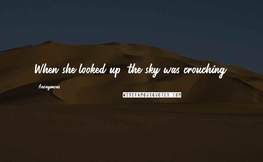 Anonymous Quotes: When she looked up, the sky was crouching.