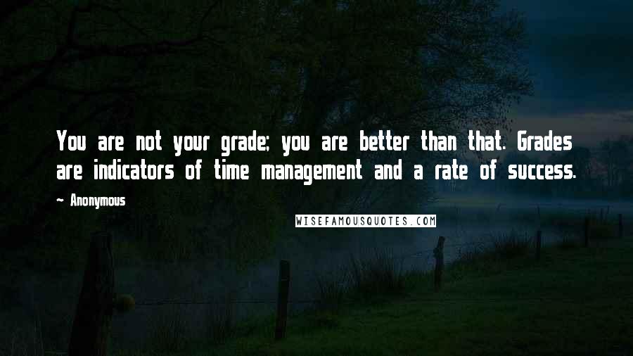 Anonymous Quotes: You are not your grade; you are better than that. Grades are indicators of time management and a rate of success.