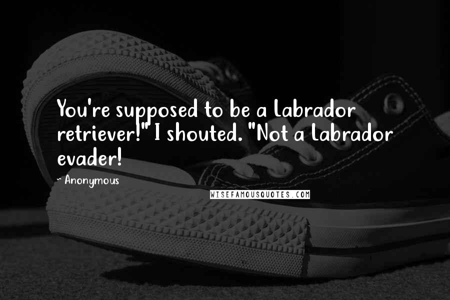 Anonymous Quotes: You're supposed to be a Labrador retriever!" I shouted. "Not a Labrador evader!