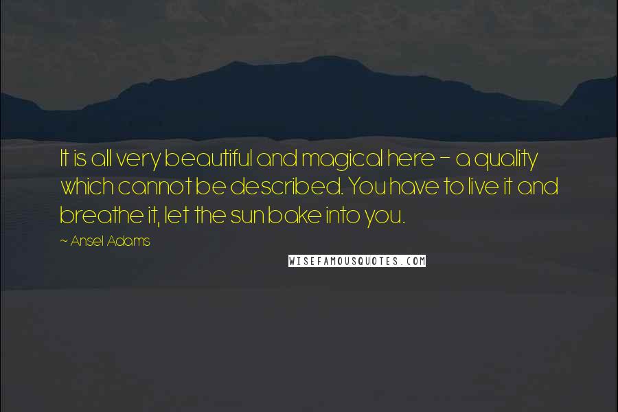 Ansel Adams Quotes: It is all very beautiful and magical here - a quality which cannot be described. You have to live it and breathe it, let the sun bake into you.