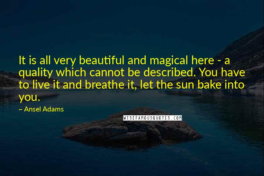 Ansel Adams Quotes: It is all very beautiful and magical here - a quality which cannot be described. You have to live it and breathe it, let the sun bake into you.