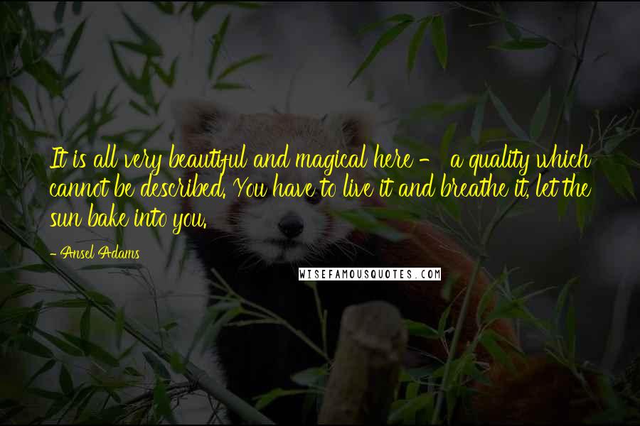 Ansel Adams Quotes: It is all very beautiful and magical here - a quality which cannot be described. You have to live it and breathe it, let the sun bake into you.