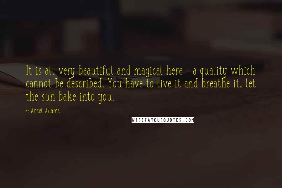 Ansel Adams Quotes: It is all very beautiful and magical here - a quality which cannot be described. You have to live it and breathe it, let the sun bake into you.