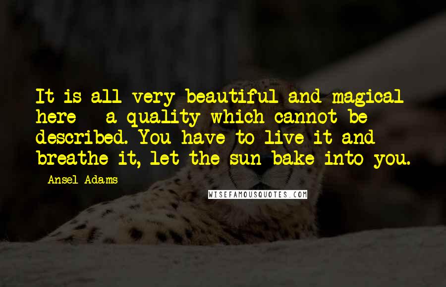 Ansel Adams Quotes: It is all very beautiful and magical here - a quality which cannot be described. You have to live it and breathe it, let the sun bake into you.