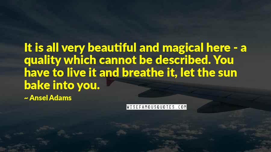 Ansel Adams Quotes: It is all very beautiful and magical here - a quality which cannot be described. You have to live it and breathe it, let the sun bake into you.