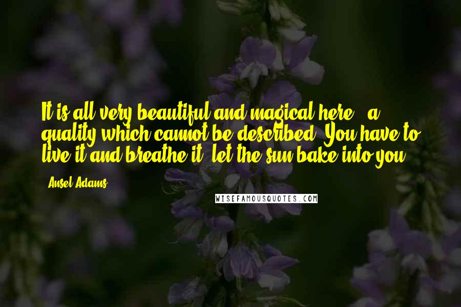 Ansel Adams Quotes: It is all very beautiful and magical here - a quality which cannot be described. You have to live it and breathe it, let the sun bake into you.