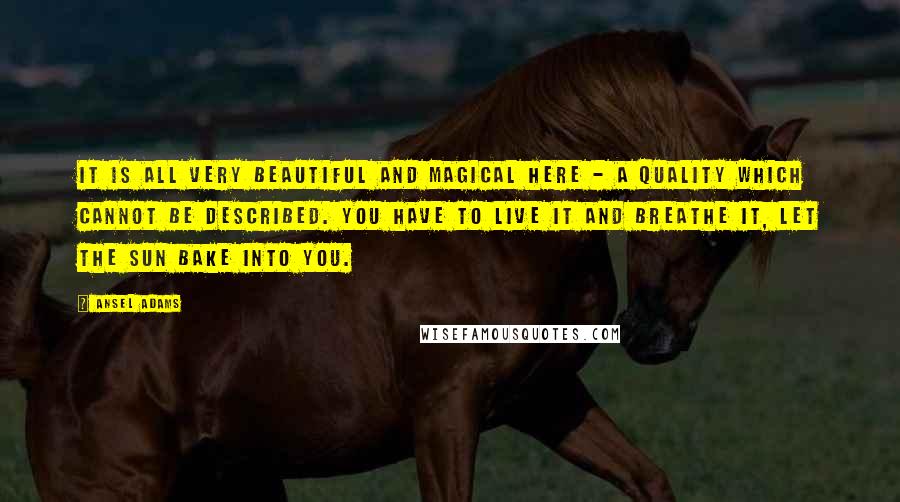 Ansel Adams Quotes: It is all very beautiful and magical here - a quality which cannot be described. You have to live it and breathe it, let the sun bake into you.