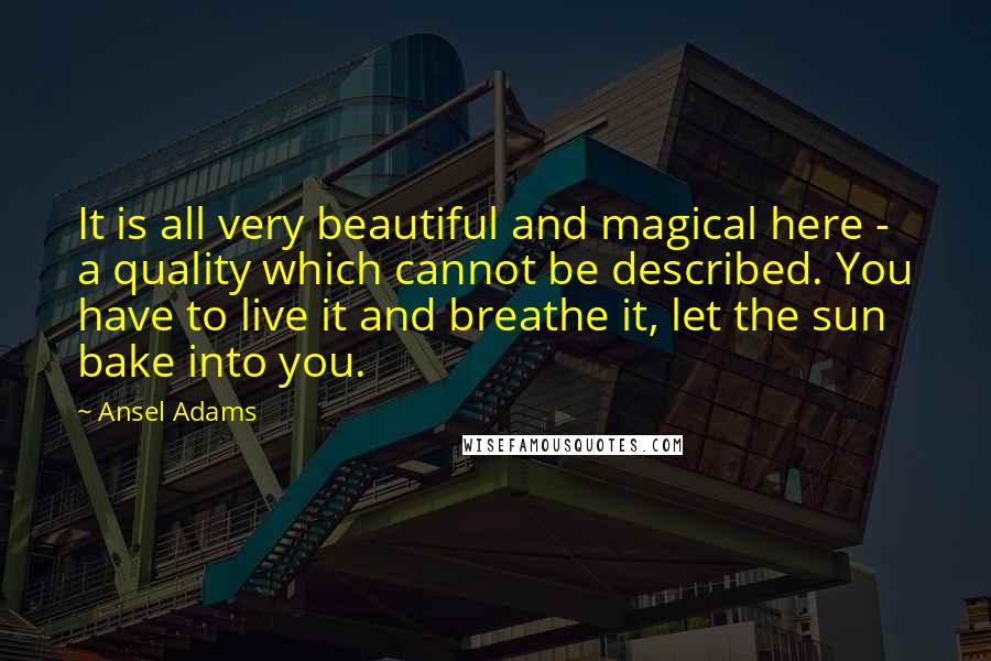 Ansel Adams Quotes: It is all very beautiful and magical here - a quality which cannot be described. You have to live it and breathe it, let the sun bake into you.