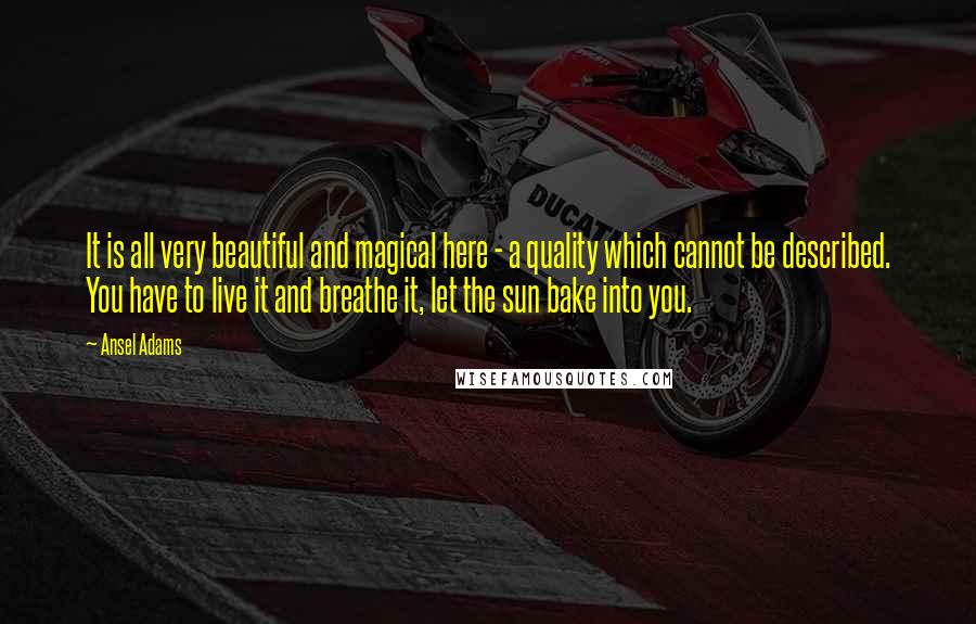 Ansel Adams Quotes: It is all very beautiful and magical here - a quality which cannot be described. You have to live it and breathe it, let the sun bake into you.