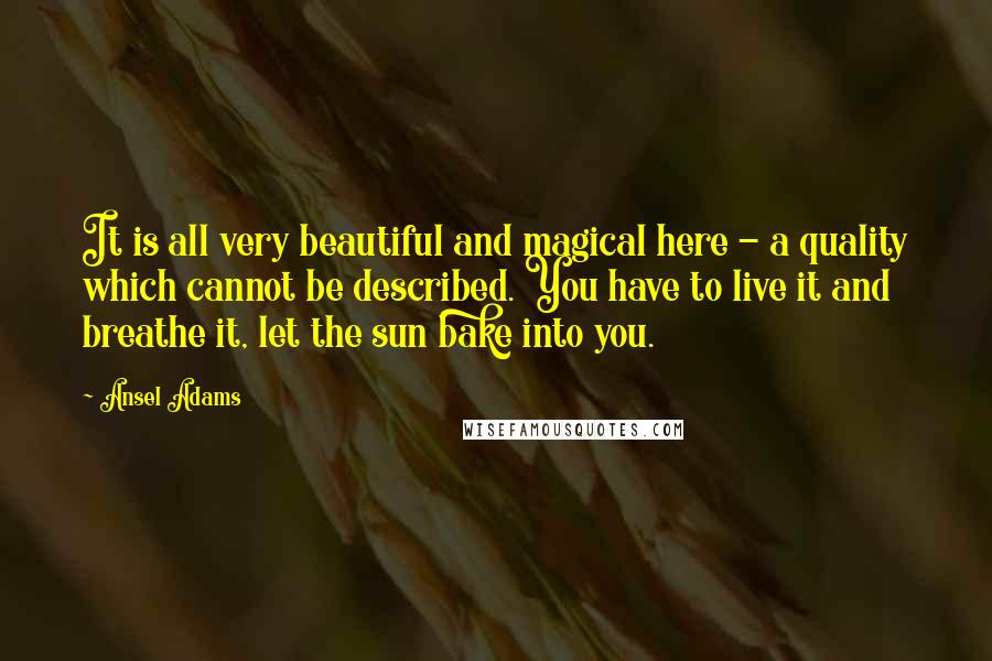 Ansel Adams Quotes: It is all very beautiful and magical here - a quality which cannot be described. You have to live it and breathe it, let the sun bake into you.