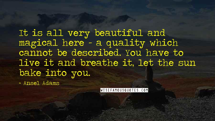 Ansel Adams Quotes: It is all very beautiful and magical here - a quality which cannot be described. You have to live it and breathe it, let the sun bake into you.