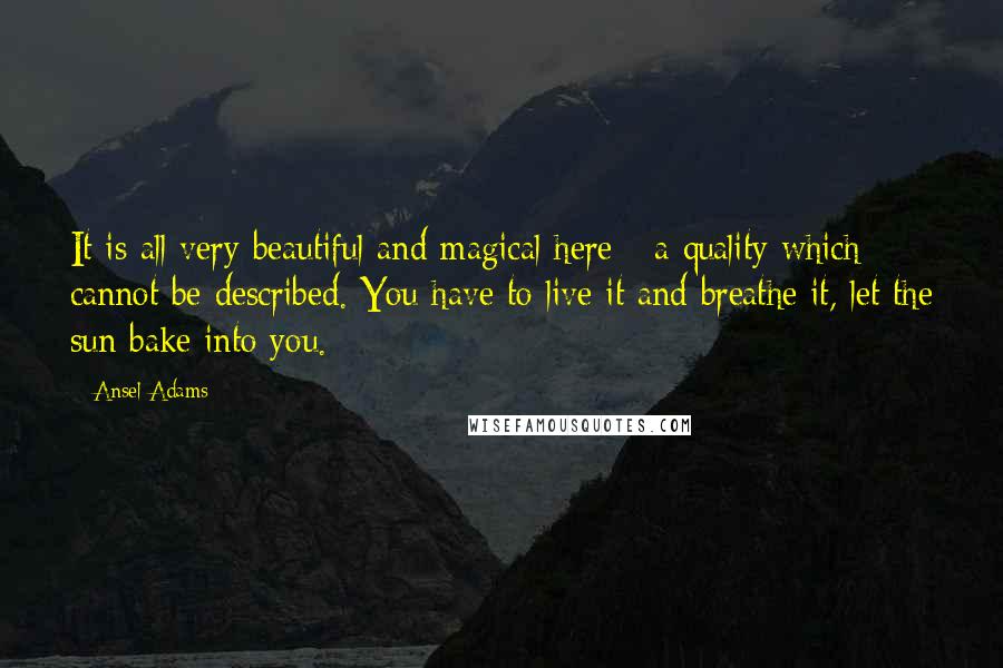 Ansel Adams Quotes: It is all very beautiful and magical here - a quality which cannot be described. You have to live it and breathe it, let the sun bake into you.