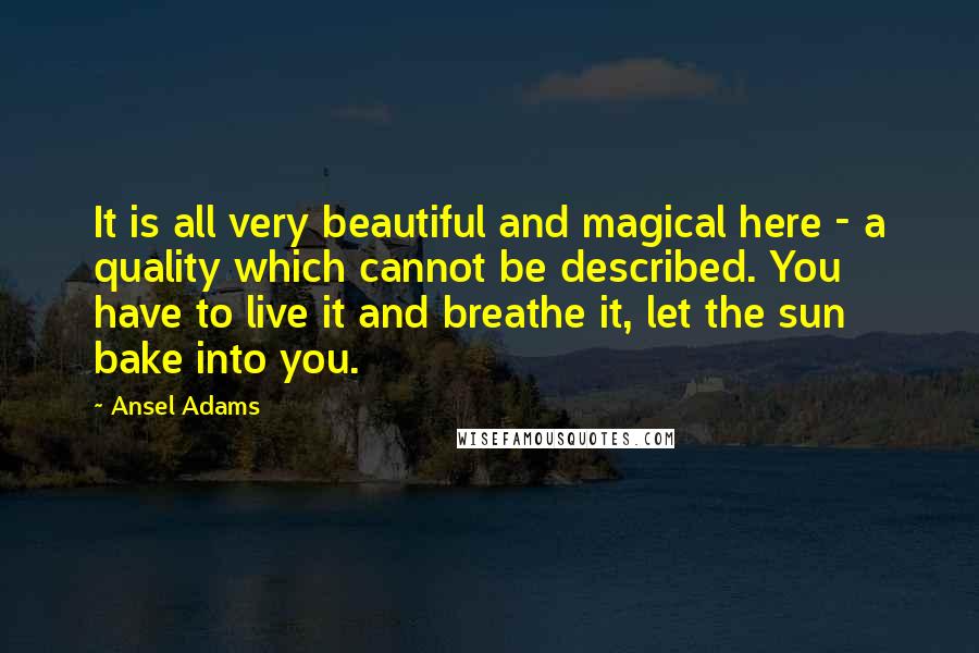 Ansel Adams Quotes: It is all very beautiful and magical here - a quality which cannot be described. You have to live it and breathe it, let the sun bake into you.