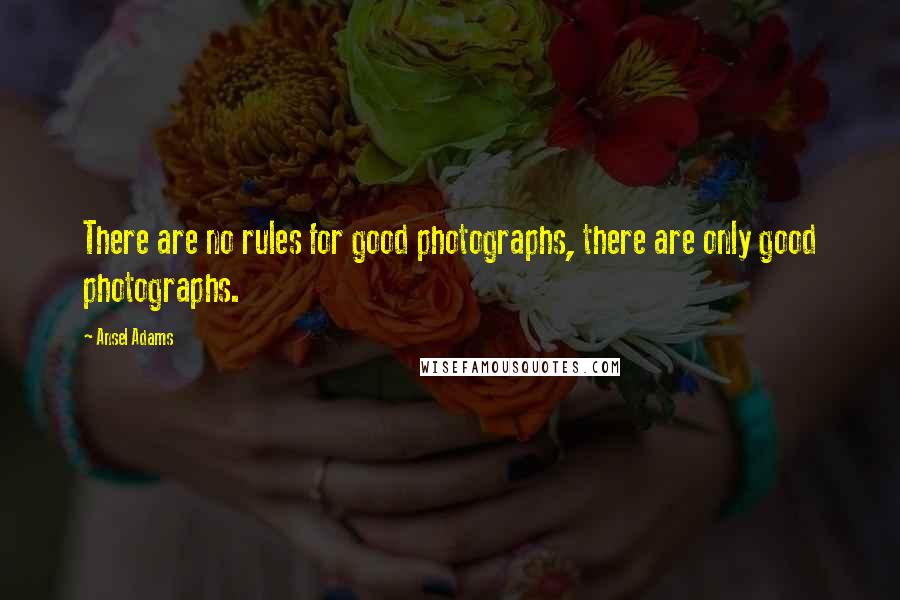 Ansel Adams Quotes: There are no rules for good photographs, there are only good photographs.