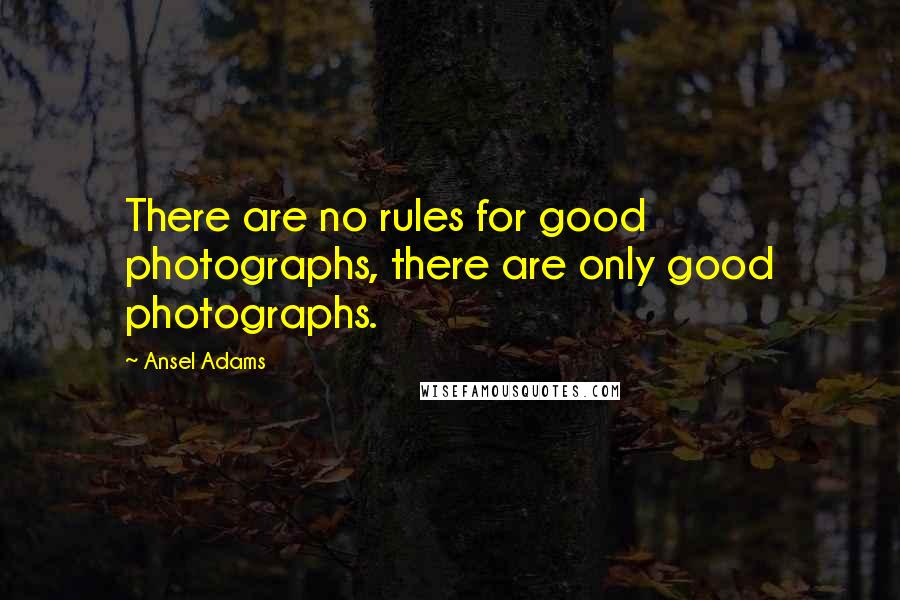 Ansel Adams Quotes: There are no rules for good photographs, there are only good photographs.