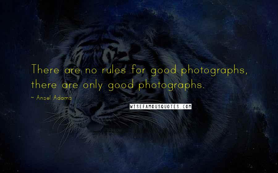 Ansel Adams Quotes: There are no rules for good photographs, there are only good photographs.