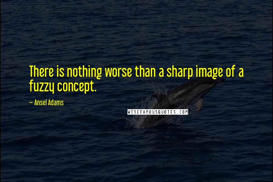 Ansel Adams Quotes: There is nothing worse than a sharp image of a fuzzy concept.