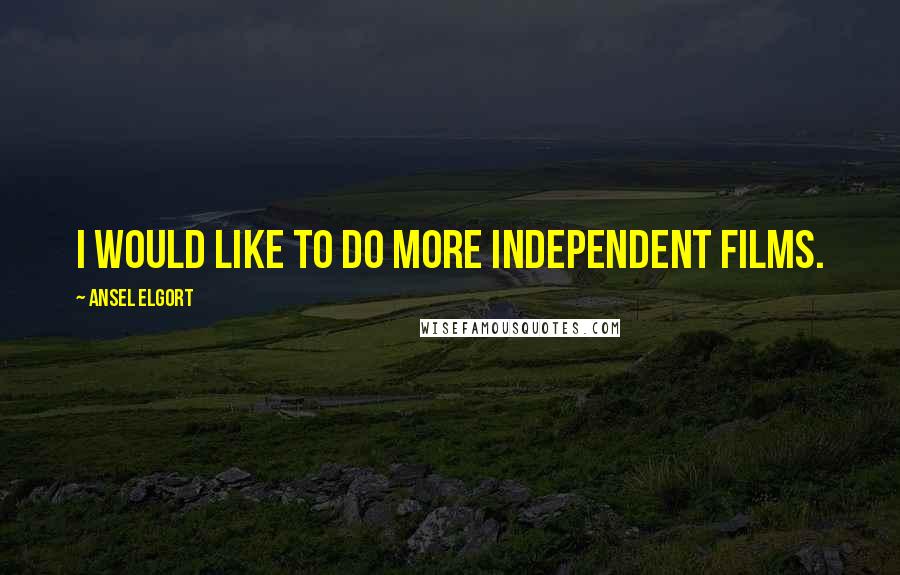 Ansel Elgort Quotes: I would like to do more independent films.