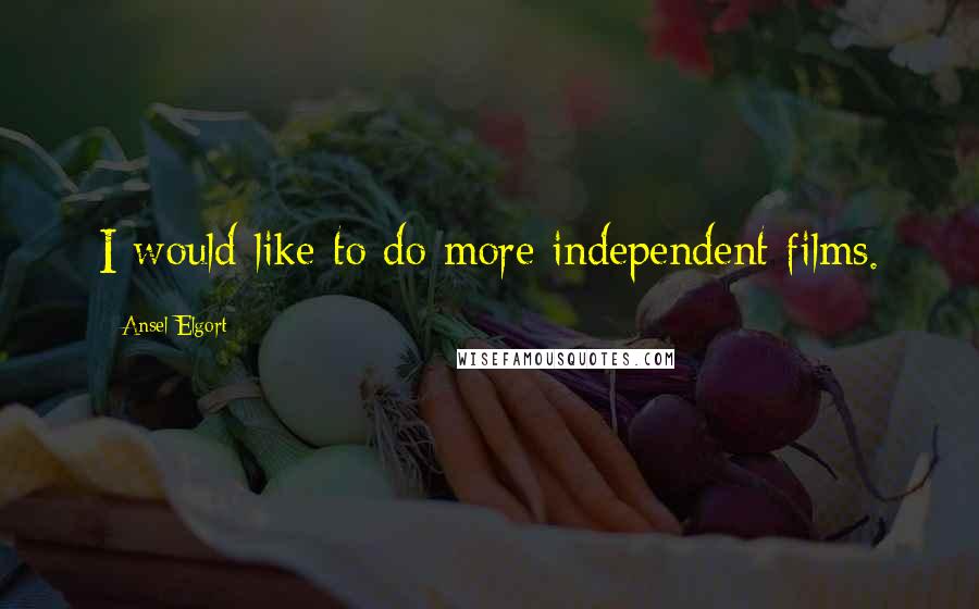 Ansel Elgort Quotes: I would like to do more independent films.