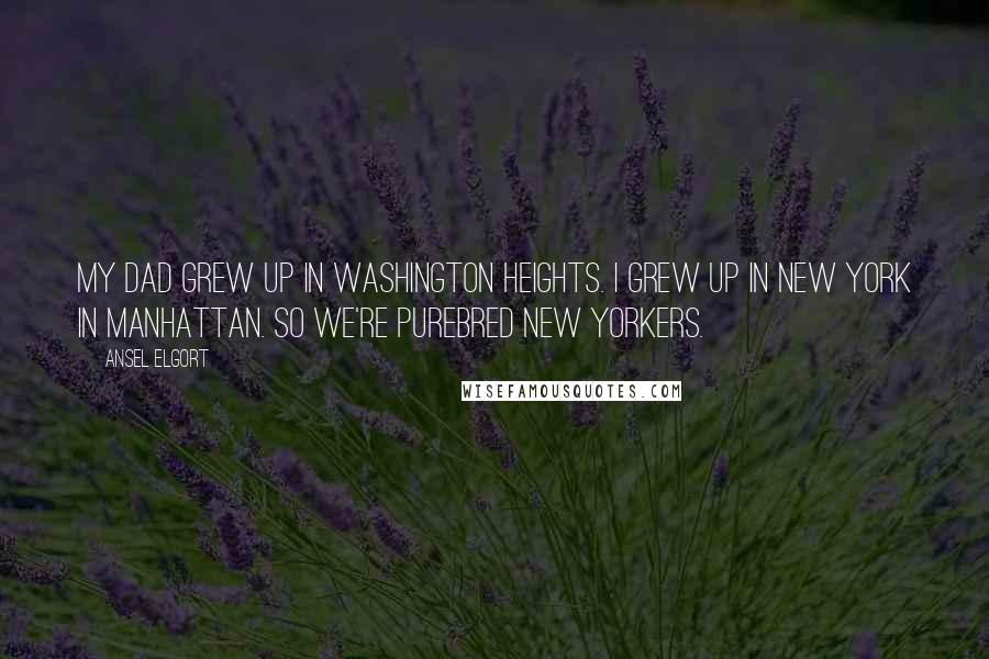 Ansel Elgort Quotes: My dad grew up in Washington Heights. I grew up in New York in Manhattan. So we're purebred New Yorkers.