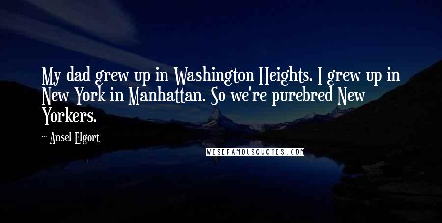 Ansel Elgort Quotes: My dad grew up in Washington Heights. I grew up in New York in Manhattan. So we're purebred New Yorkers.