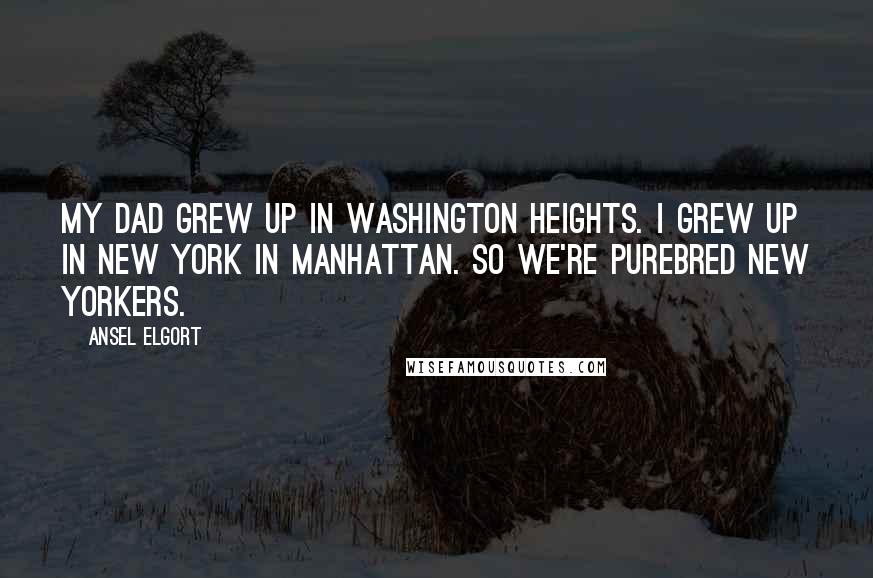 Ansel Elgort Quotes: My dad grew up in Washington Heights. I grew up in New York in Manhattan. So we're purebred New Yorkers.