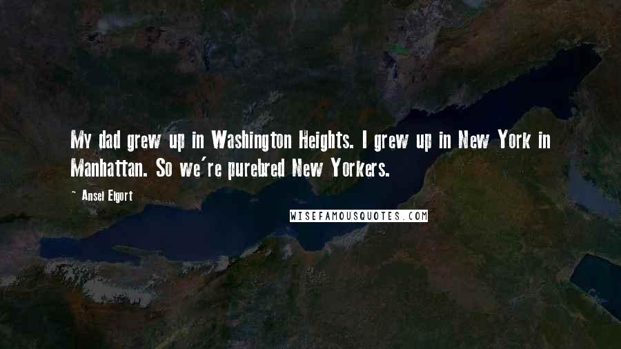 Ansel Elgort Quotes: My dad grew up in Washington Heights. I grew up in New York in Manhattan. So we're purebred New Yorkers.