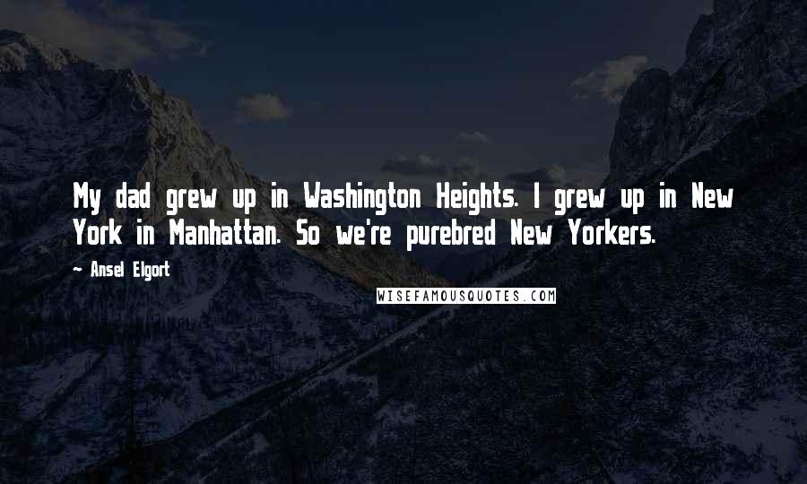 Ansel Elgort Quotes: My dad grew up in Washington Heights. I grew up in New York in Manhattan. So we're purebred New Yorkers.