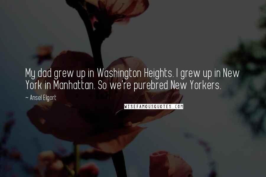 Ansel Elgort Quotes: My dad grew up in Washington Heights. I grew up in New York in Manhattan. So we're purebred New Yorkers.