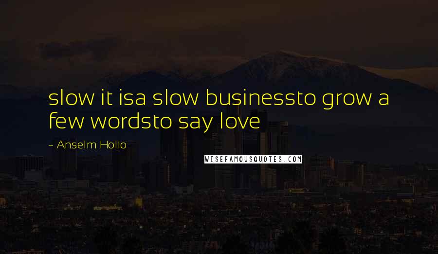 Anselm Hollo Quotes: slow it isa slow businessto grow a few wordsto say love