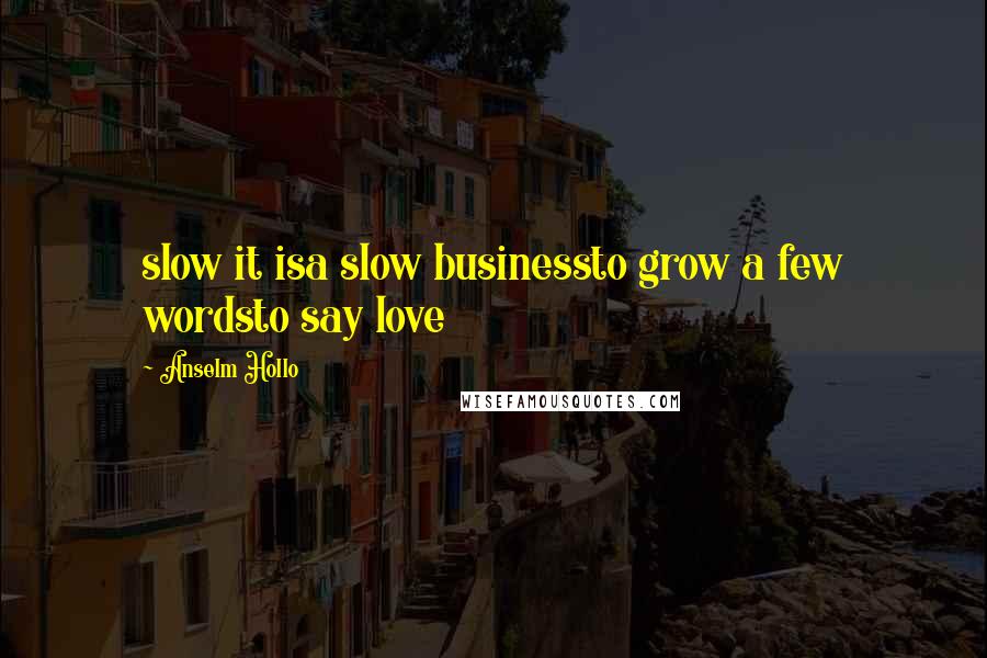 Anselm Hollo Quotes: slow it isa slow businessto grow a few wordsto say love