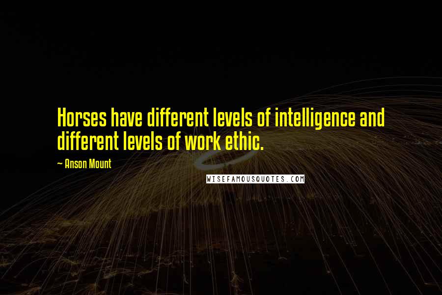 Anson Mount Quotes: Horses have different levels of intelligence and different levels of work ethic.