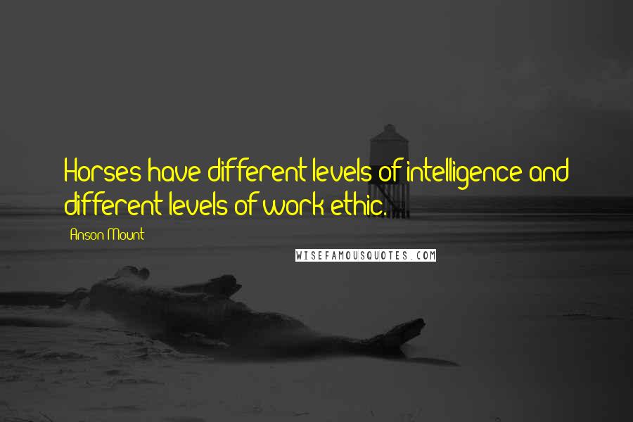 Anson Mount Quotes: Horses have different levels of intelligence and different levels of work ethic.