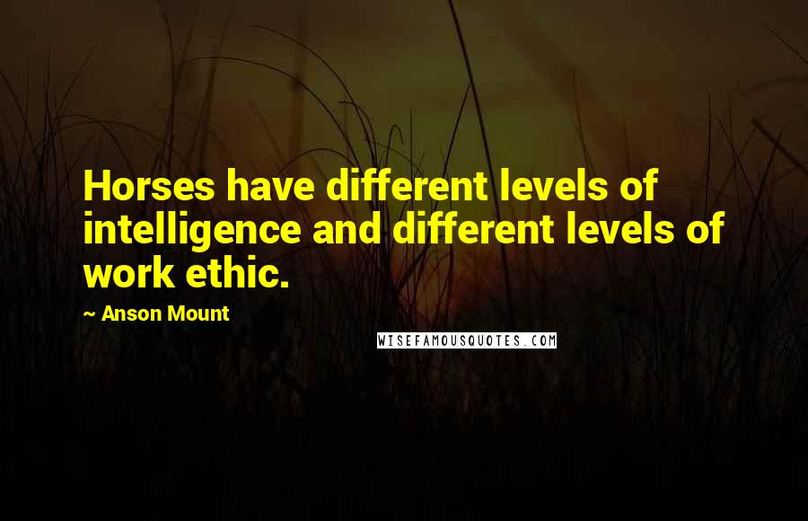 Anson Mount Quotes: Horses have different levels of intelligence and different levels of work ethic.
