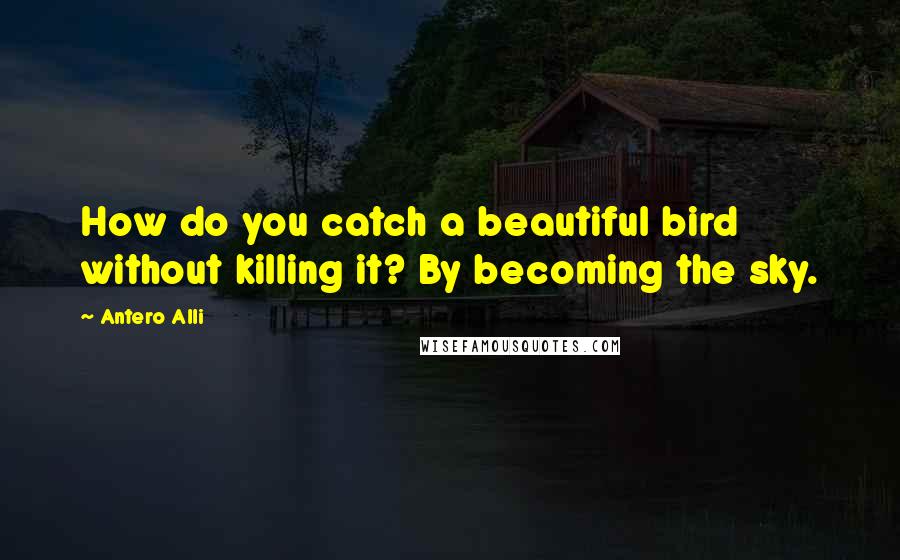 Antero Alli Quotes: How do you catch a beautiful bird without killing it? By becoming the sky.
