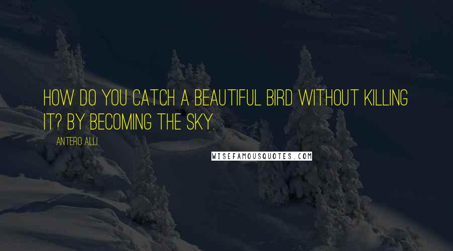 Antero Alli Quotes: How do you catch a beautiful bird without killing it? By becoming the sky.