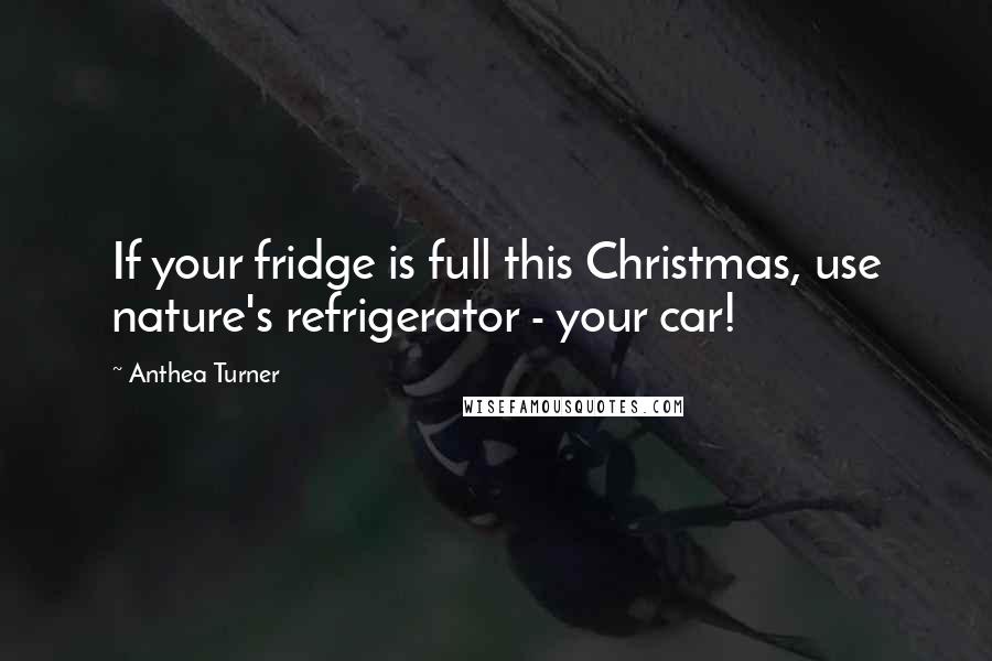 Anthea Turner Quotes: If your fridge is full this Christmas, use nature's refrigerator - your car!
