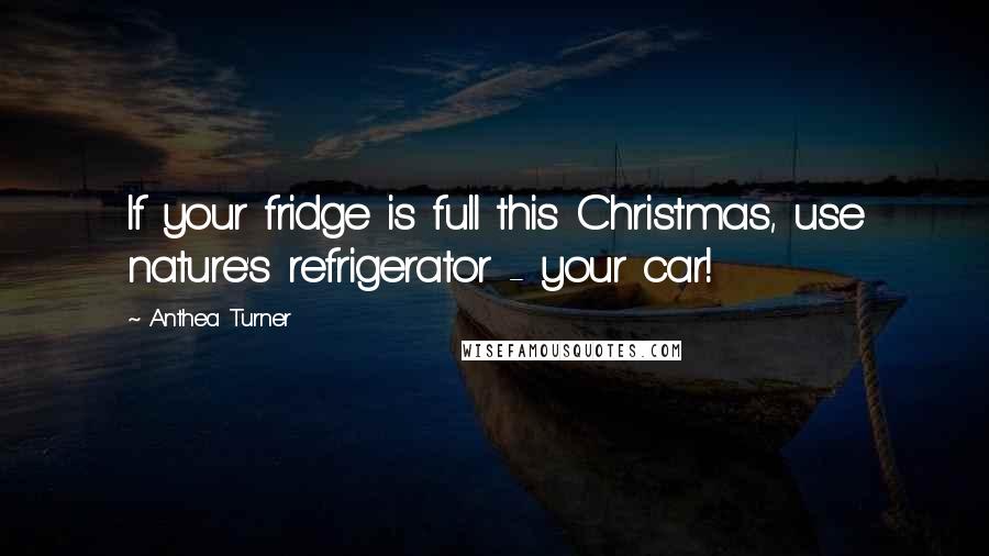 Anthea Turner Quotes: If your fridge is full this Christmas, use nature's refrigerator - your car!