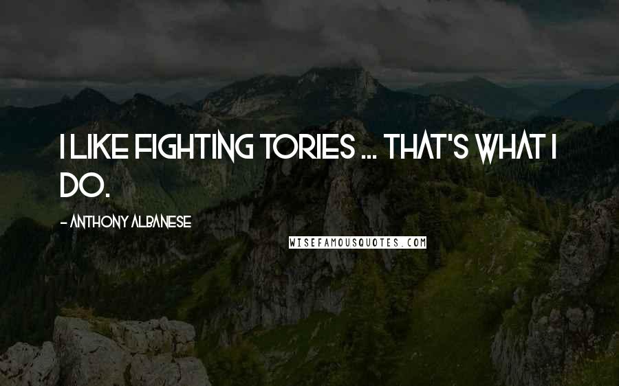 Anthony Albanese Quotes: I like fighting Tories ... that's what I do.