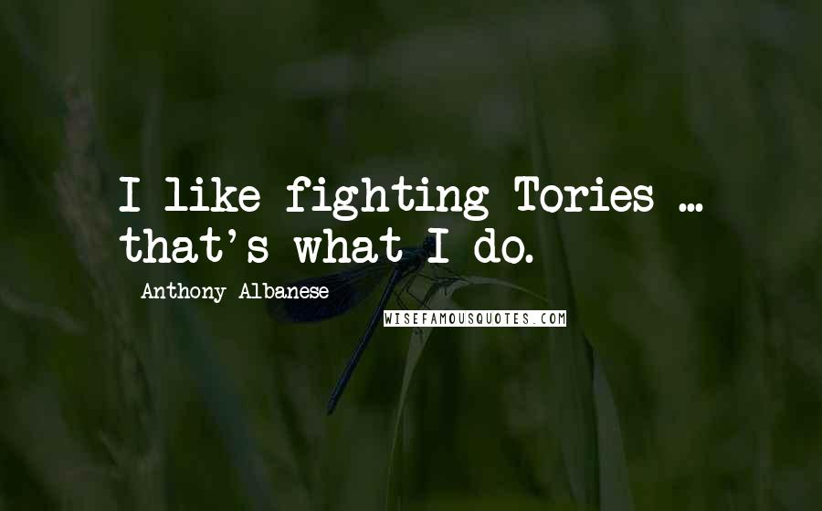 Anthony Albanese Quotes: I like fighting Tories ... that's what I do.