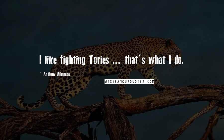 Anthony Albanese Quotes: I like fighting Tories ... that's what I do.